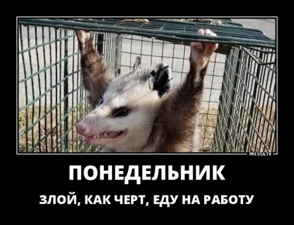 file_77198429