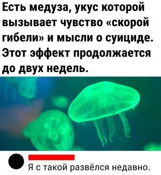 file_101043575