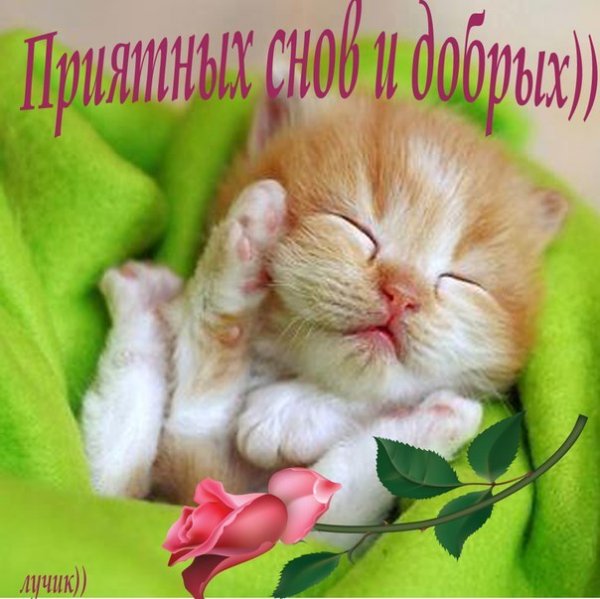 Приятных и добрых снов