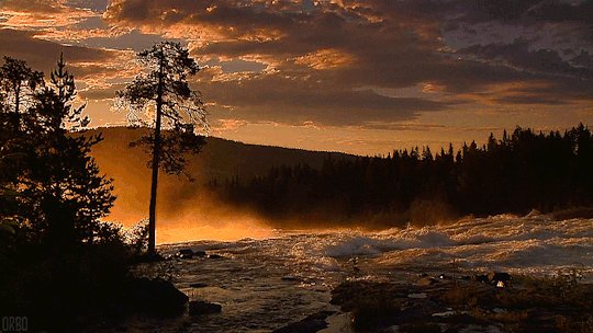 file_73958705