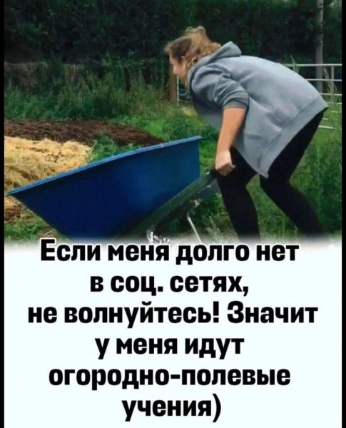 FB IMG 1778184445891
