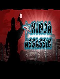 Ninja Assassin 320x240