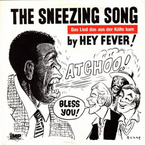 Hey Fever! - The Sneezing Song