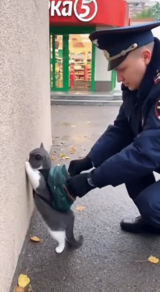 Вы задержанны...