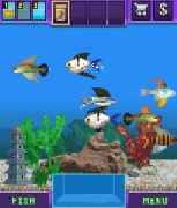 FishTycoon 176x208