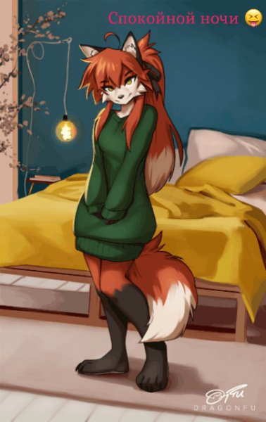 file_91472068