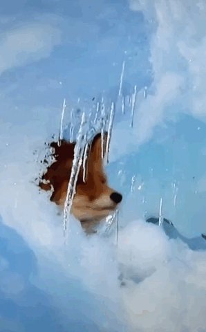 Носом чую весна пришла