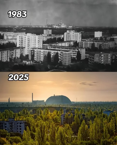 file_101938396