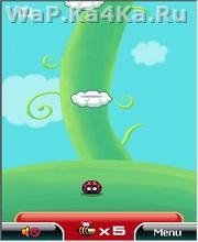 Jumpy Bug