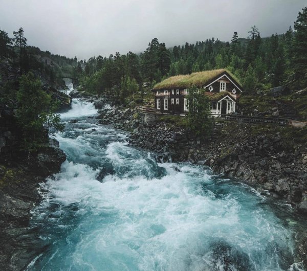 file_96624786