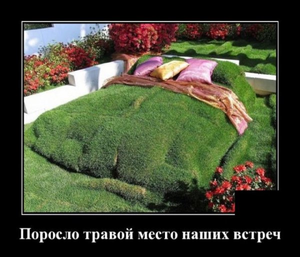 Поросло травой место наших встреч