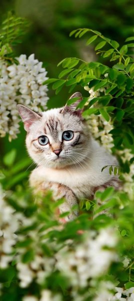 file_97026518