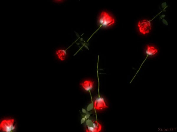 file_61150834