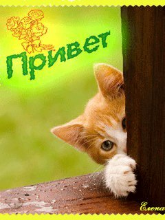 file_956222