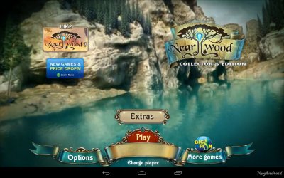 com bigfishgames nearwoodgoogfree-15