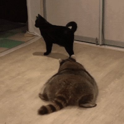 охота)