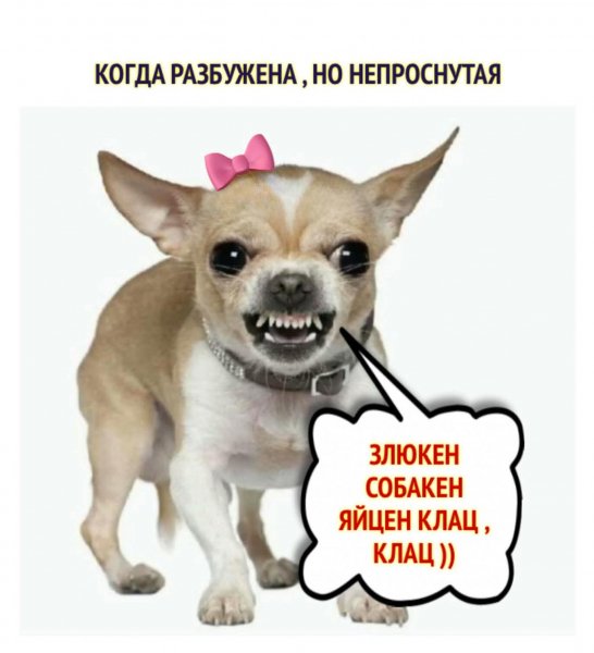 FB IMG 1778146309285