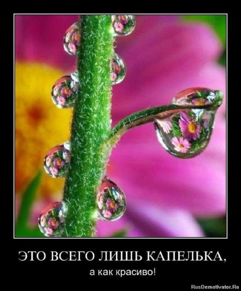 Всего лишь капелька, а как красиво
