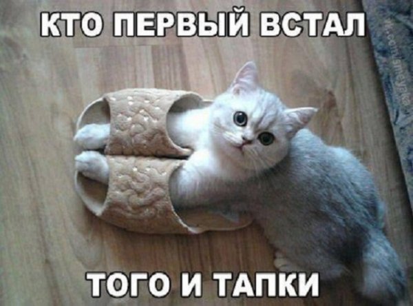 Кто первый встал того и тапки...