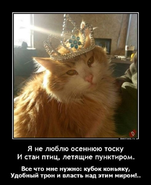 Мечтать не вредно