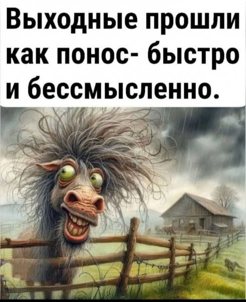 FB IMG 1777393144321