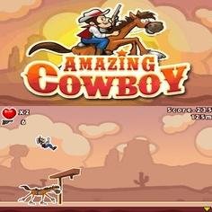 Amazing Cowboy 240x320 landscape touch