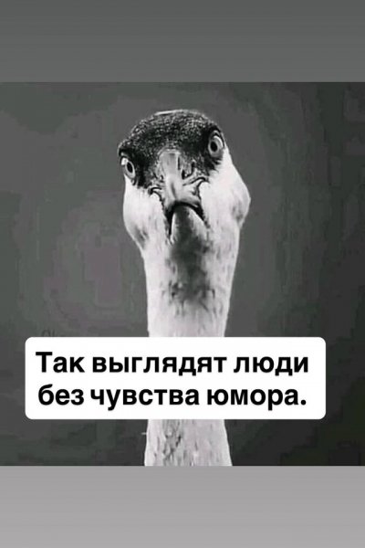 file_102575656