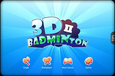 3D Badminton II V2.024