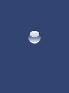 file_81015574