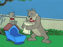 Tom-and-jerry