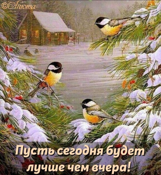 GUVa0TYt8MU