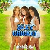 Sexy Cricket