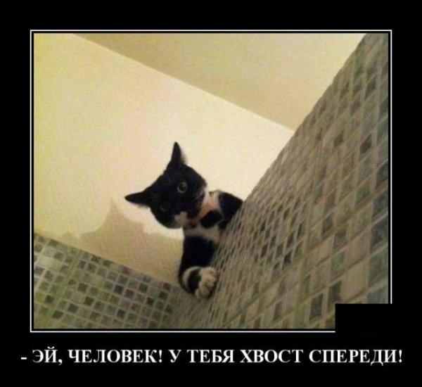 Эй, человек...
