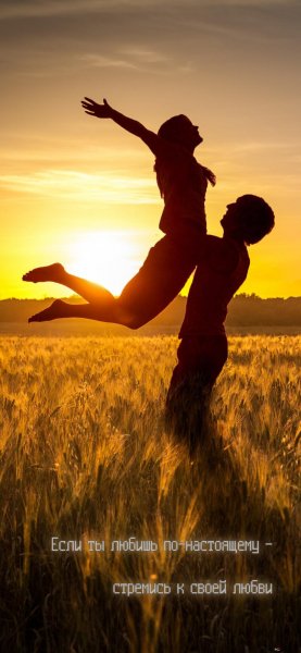 Love (160)