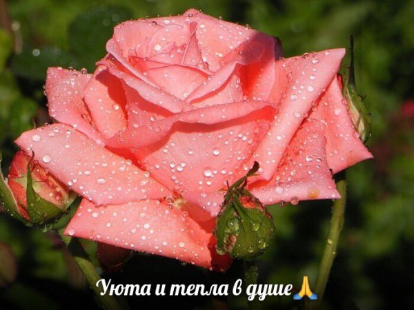 AU M7dbHuh0