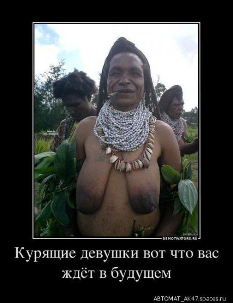 file_23680177
