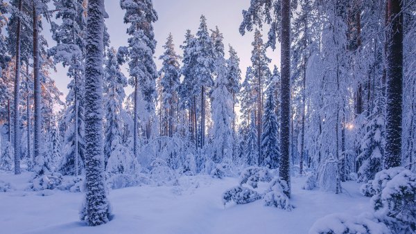 file_80060237