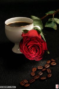 Coffee No name