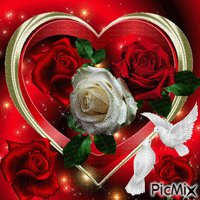 file_94072432