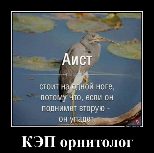 И194636