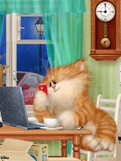 Шлю тебе свою фотку