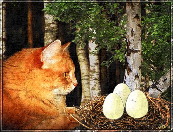 Котята из яиц
