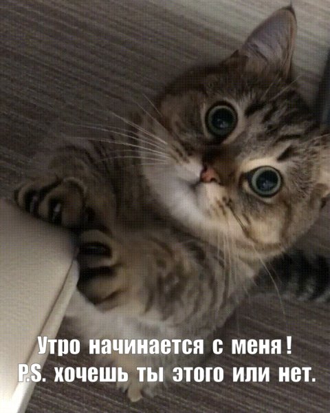 IMG 20231026 000810