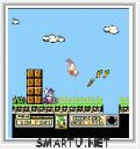 Tiny Toon