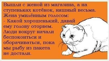 ГРАВИТИ