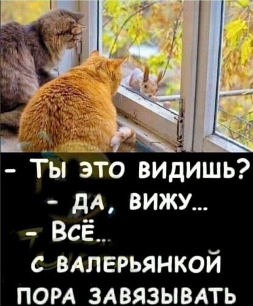 FB IMG 1775929413977