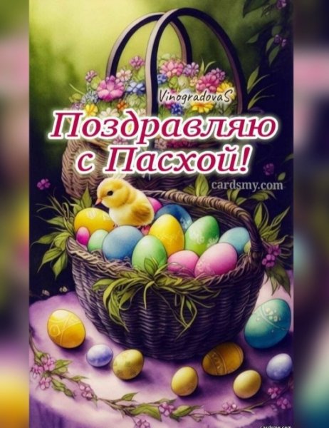 IMG 20260415 200718