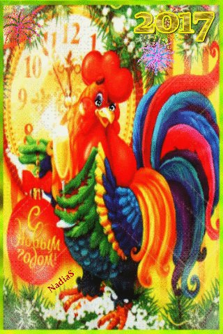 file_66446088