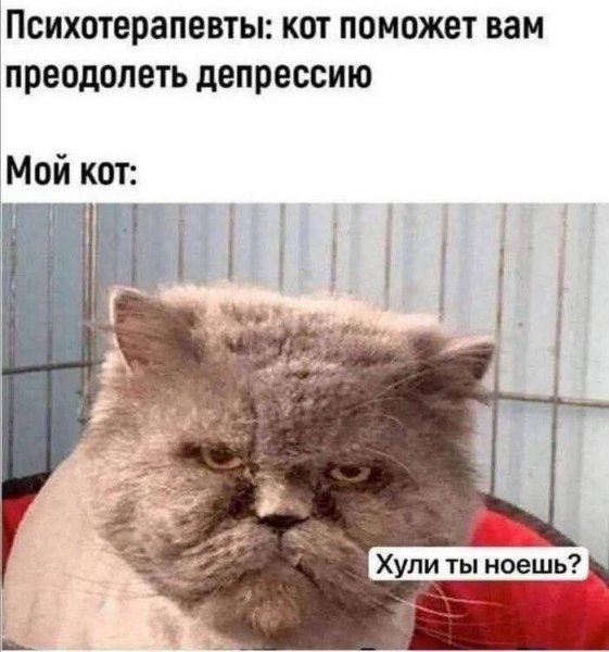 IMG 20260429 154735 777