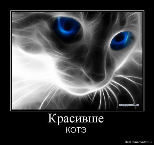 Котэ